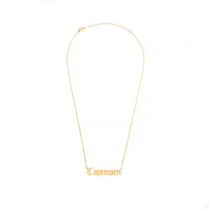 Capricorn Zodiac Necklace