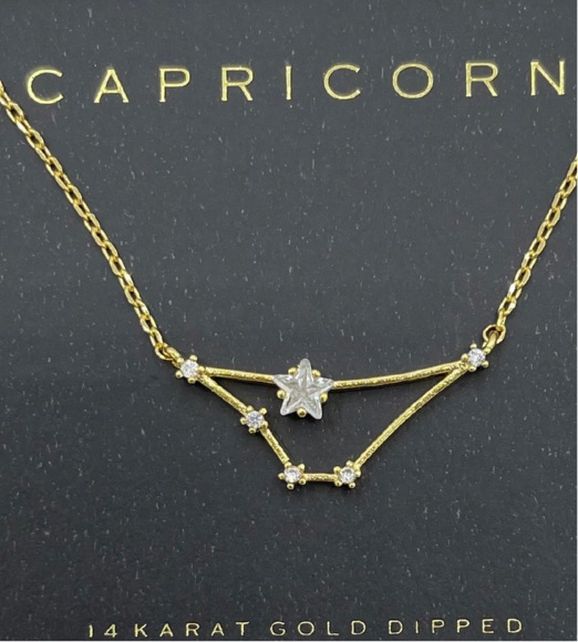 Capricorn zodiac constellation